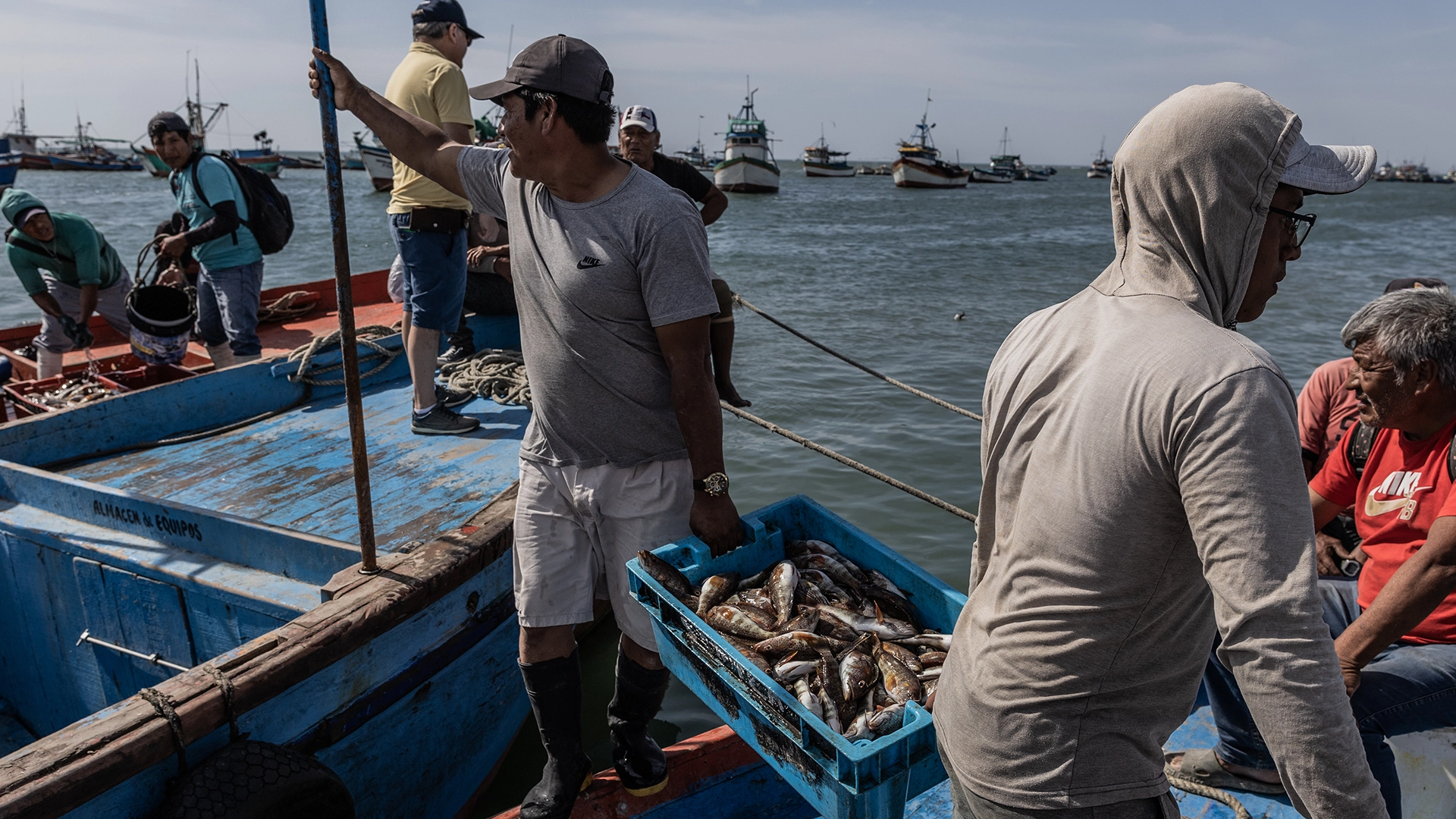 Pescadores artesanales en faena