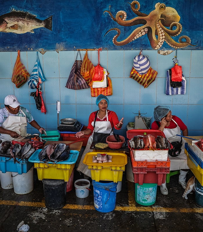 Mercado de pescados y mariscos