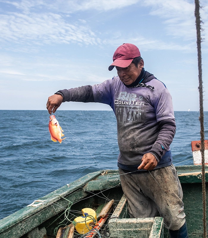 Pescador artesanal aplicando tecnicas tradicionales