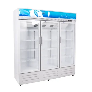 VISICOOLER 3 PUERTAS-I